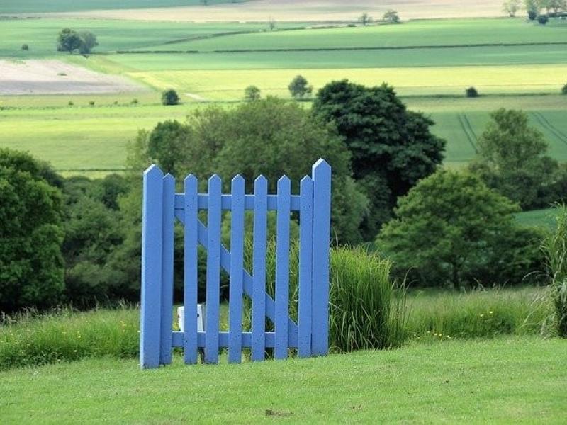 Plantations de haies champêtres