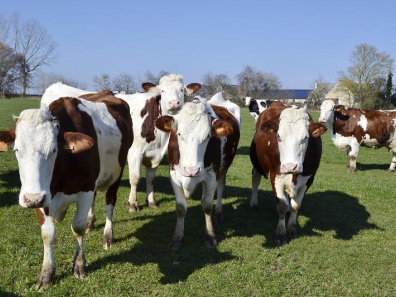Une quinzaine d'agriculteurs
