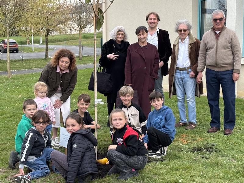 plantation d'un Magnolia