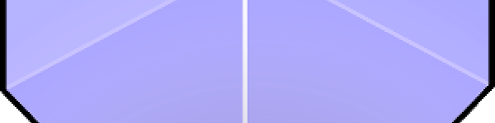 Elections municipales